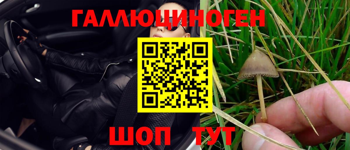 Прокопьевск  Галлюциногенные грибы GOLDEN TEACHER  Вход с VPN  Псилоцибиновые грибы мухоморы 