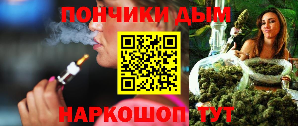 Каннабис план Прокопьевск
